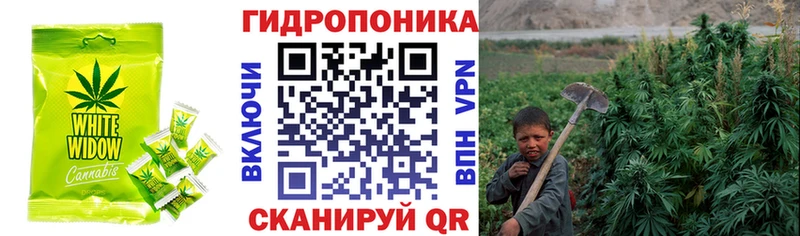 Cannafood конопля  Черкесск 