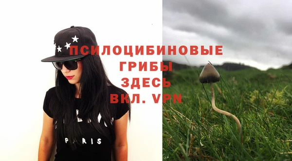 стаф Вязники