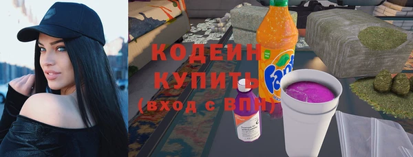 не бодяженный Вяземский