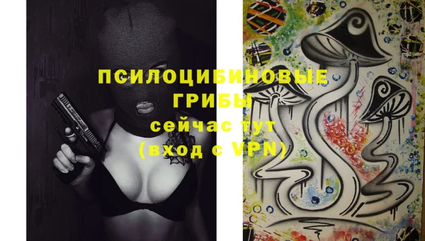 ECSTASY Вязьма
