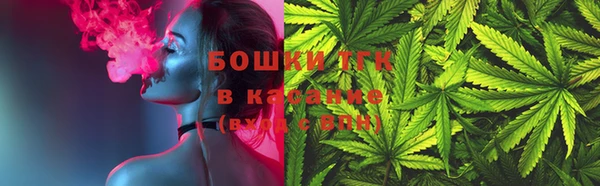 стаф Вязники