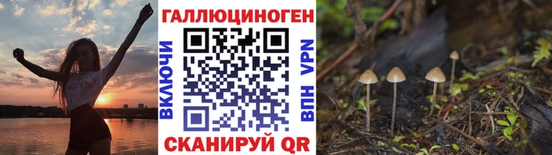 кракен ССЫЛКА  Черкесск  Галлюциногенные грибы ЛСД 