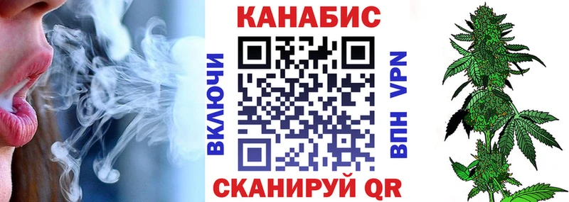 где найти Черкесск Канабис сатива